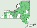 Carex disperma NY-dist-map.png