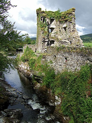 <span class="mw-page-title-main">Carriganass Castle</span> Tower house in County Cork, Ireland