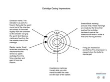 This cartridge casing impression image shows the markings of circular line, centerfire, extractor, ejector and, what headstamping shows on a spent cartridge. Cartridge casing impressions.pdf