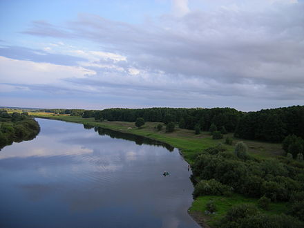Sozh river near Čačersk.