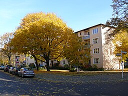 CharlottenburgNordHalemweg-1