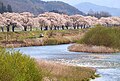 2010年8月23日 (月) 06:31時点における版のサムネイル