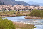 Thumbnail for Sarugaishi River
