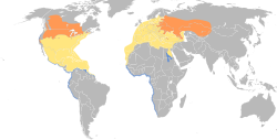 Chlidonias niger map.svg