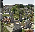 Cimitirul din cartierul Micălaca