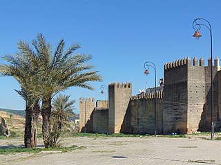 <span class="mw-page-title-main">Fortifications of Fez</span> Defensive structures of the old city of Fez, Morocco