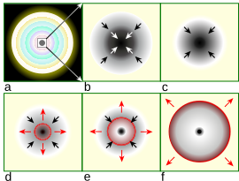 Core collapse scenario.svg