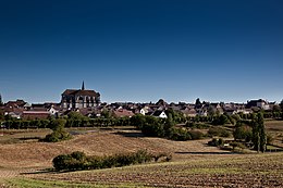 Coulanges-la-Vineuse - Voir