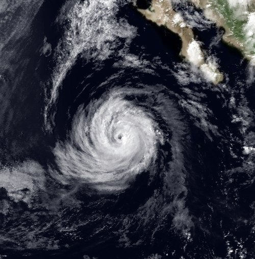 1984 Pacific hurricane season