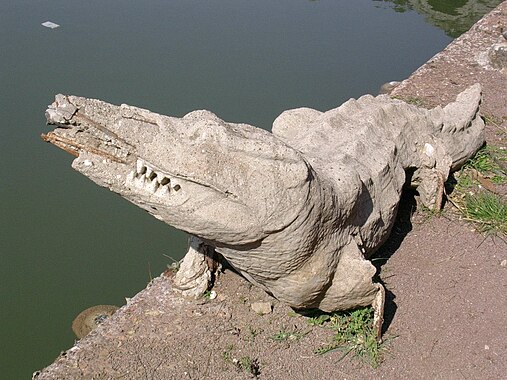 Crocodile du Canope. 