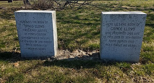 David and Grace Lloyd Grave Headstones.jpg