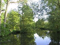 řeka Odense