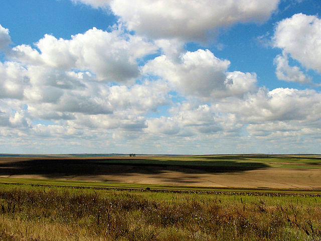 Steppe and agricultural land in the Central Dobruja Plateau