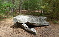 Dolmen de la Pierre Ardoue 1.JPG