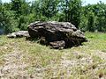 Français : Dolmen de la Gélie, Edon, Charente, France. Vue du NE.