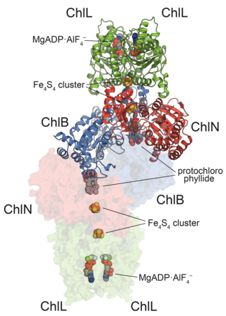 <span class="mw-page-title-main">Protochlorophyllide reductase</span>