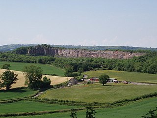 <span class="mw-page-title-main">Dulcote Quarry</span> Disused limestone quarry in Somerset, England