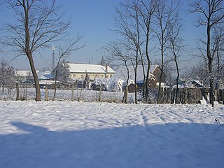<span class="mw-page-title-main">Dumbrăveni, Suceava</span> Commune in Suceava, Romania