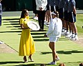 Vorschaubild für Wimbledon Championships 2022/Dameneinzel