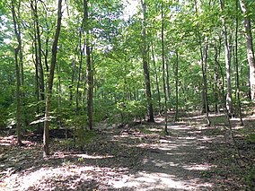 Emmenegger Nature Park.JPG