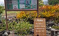 English signboard including Hawaiian words, Aloha (Hello) and Kokua (Cooperation).jpg