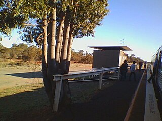 <span class="mw-page-title-main">Euabalong West railway station</span> Railway station in New South Wales, Australia