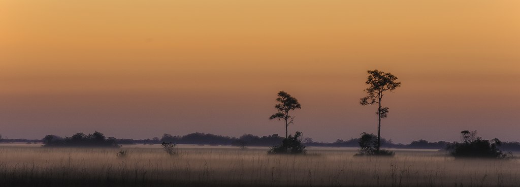 Everglades Sunrise (UNESCO-Weltnaturerbe in Florida/USA))
