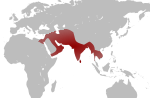 Elefante bidezko exekuzio-en irudi txikia