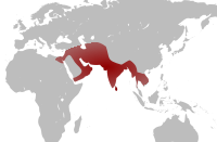 Henrettelse Med Elefant