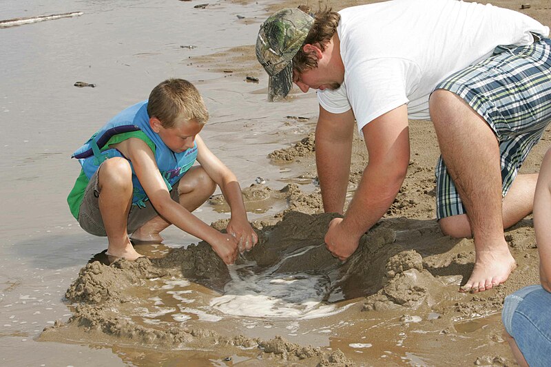 File:Father and son playing at beach making sand castle.jpg