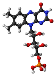 Ball-and-stick model of the flavin mononucleotide molecule