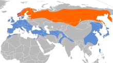 Omtrentleg geografisk utbreiing ██ Overvintringsområde██ Hekkeområde██ Året rundt