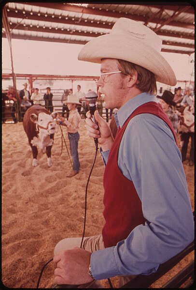 File:GARFIELD COUNTY FAIR. JUDGING LIVESTOCK RAISED BY YOUNGSTERS IN THE 4-H PROGRAM - NARA - 552664.jpg