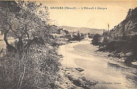 O río Hérault en Ganges. Tarxeta postal de 1929.