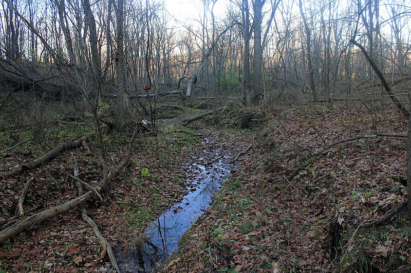 File:Gfp-iowa-bellevue-state-park-partially-dried-stream.jpg