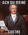 Goethe (Stieler 1828)-Meme.jpg