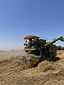 File:Golden fields, bustling harvest 04.jpg