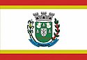 Bandeira de Gonzaga