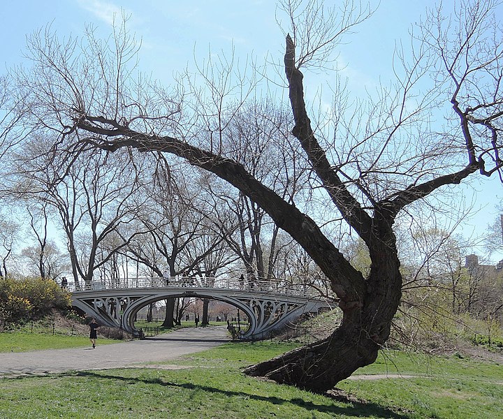 File:Gothic Bridge north of Central Park Reservoir PM jeh.jpg