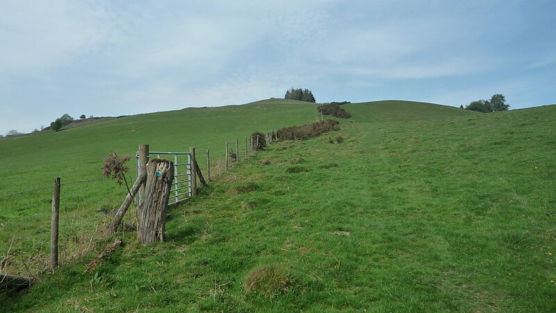 File:Goytre Hill (Lloyney) - geograph.org.uk - 6149471.jpg