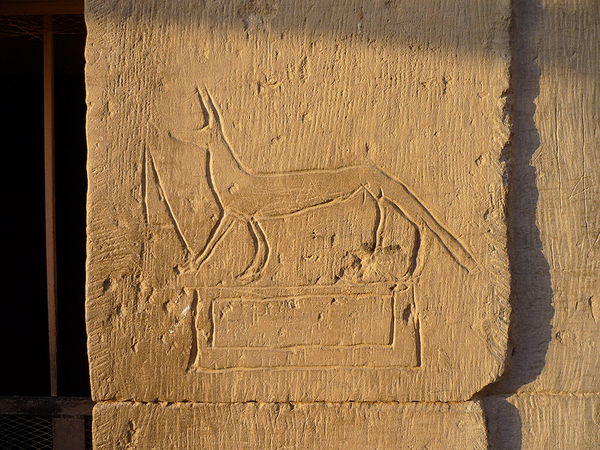 Ancient graffito in the Kom Ombo Temple, Egypt