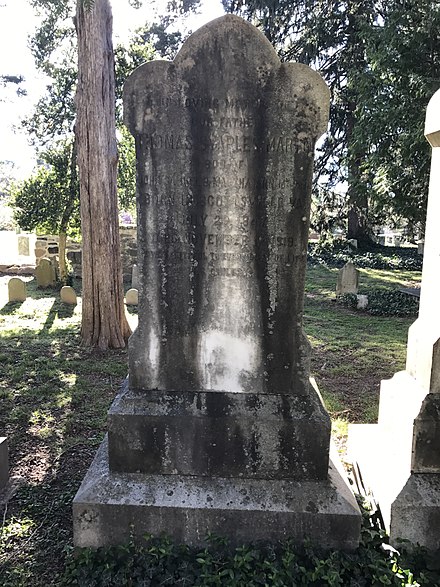 Martin's gravestone at the University of Virginia Cemetery in Charlottesville, Virginia.