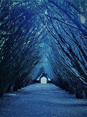 Maynooth University