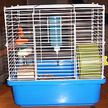 A cage designed to contain small animals Hamstercage.jpg