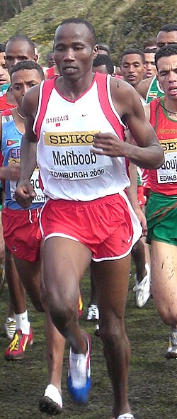 Ali Hasan Mahboob (2008)