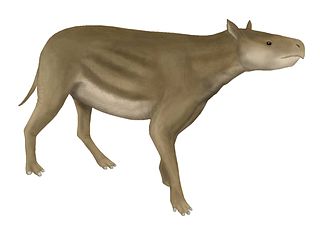 <i>Heptodon</i> Extinct genus of mammal