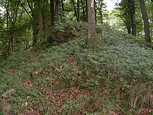 Hertenstein Castle, sisa-sisa keep.jpg