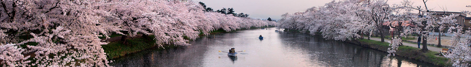 Хиросаки (Aomori) баннері.jpg