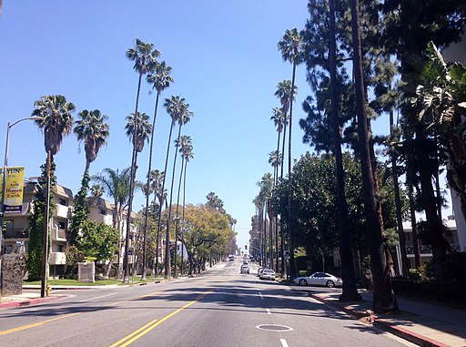 Hollywood Hills, Los Angeles, CA, USA - panorama (29)