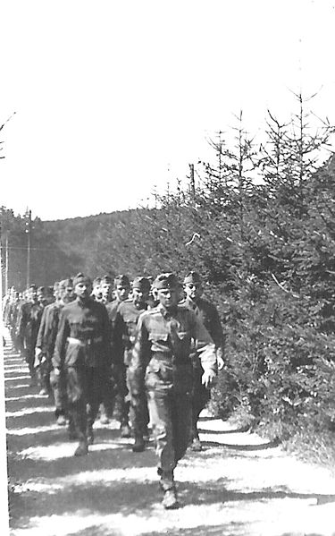 File:Hungarian soldies in Denmark 2. World War.JPG